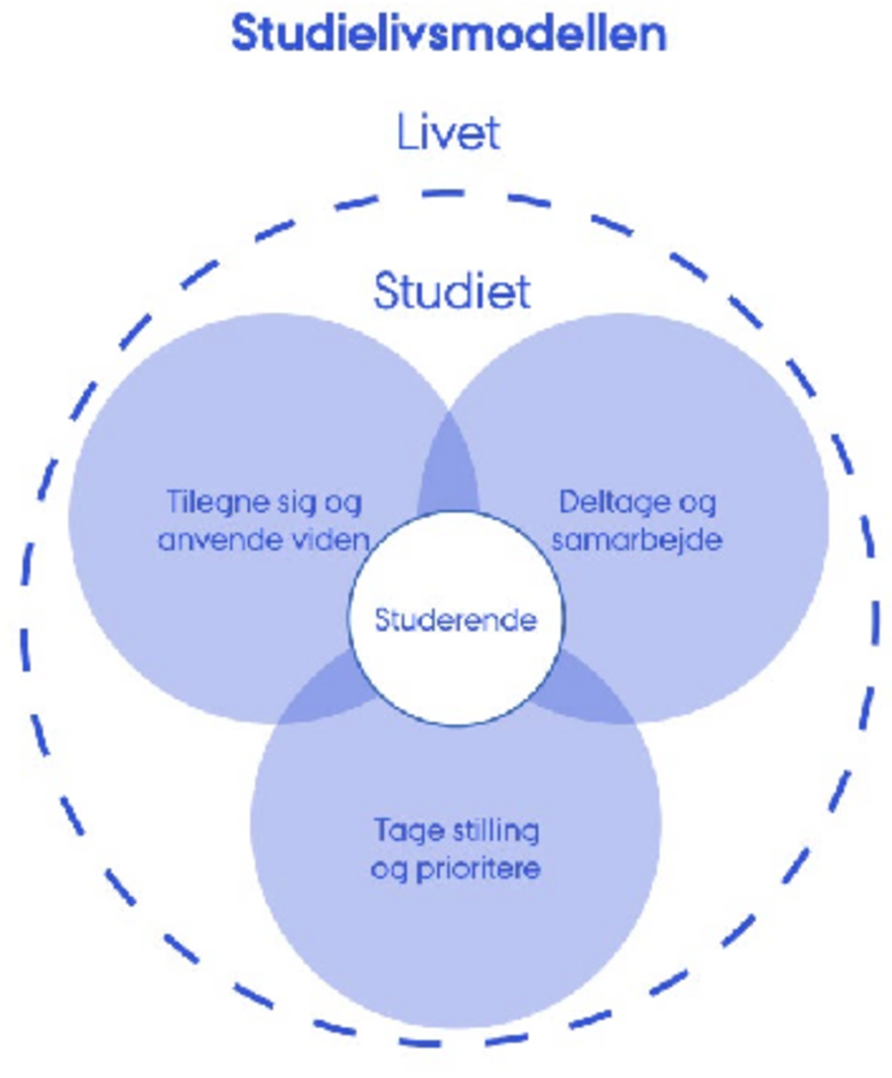 Diagram der viser Studielivsmodellen
