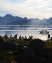 Under forhandlingerne om en samarbejdsaftale mellem Aarhus Universitet, Naturinstituttet i Nuuk og Maniboba University i Canada, blev der lørdag eftermiddag tid til en sejltur i fjordene omkring Nuuk med en afsluttende picnic.