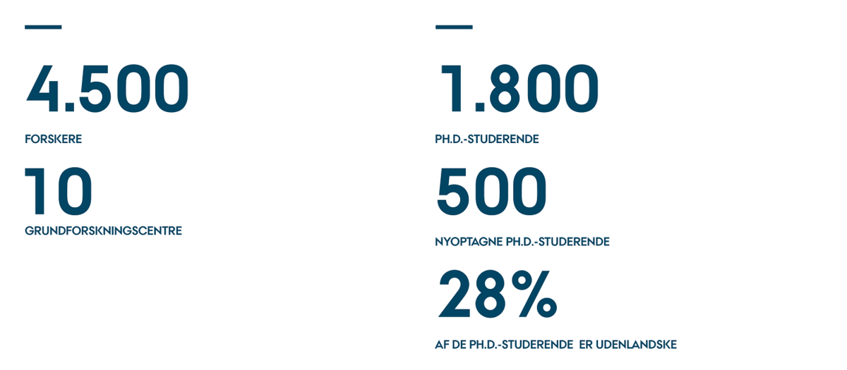Faktaboks: 4500 forskere, 10 grundforskningscentre, 1800 Ph.d.-studerende, 500 nyoptagne Ph.d.-studerende, 28% af Ph.d.-studerende er udenlandske